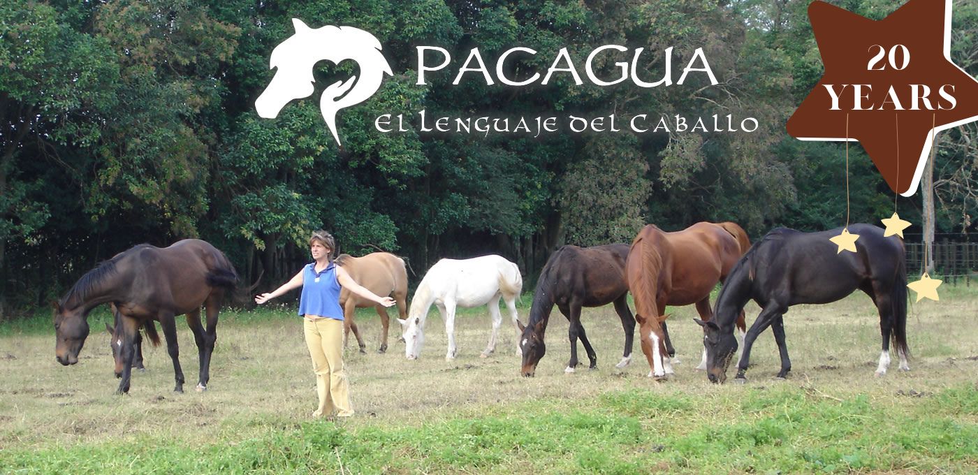 Pacagua
