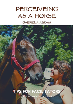 Perceiving as a Horse